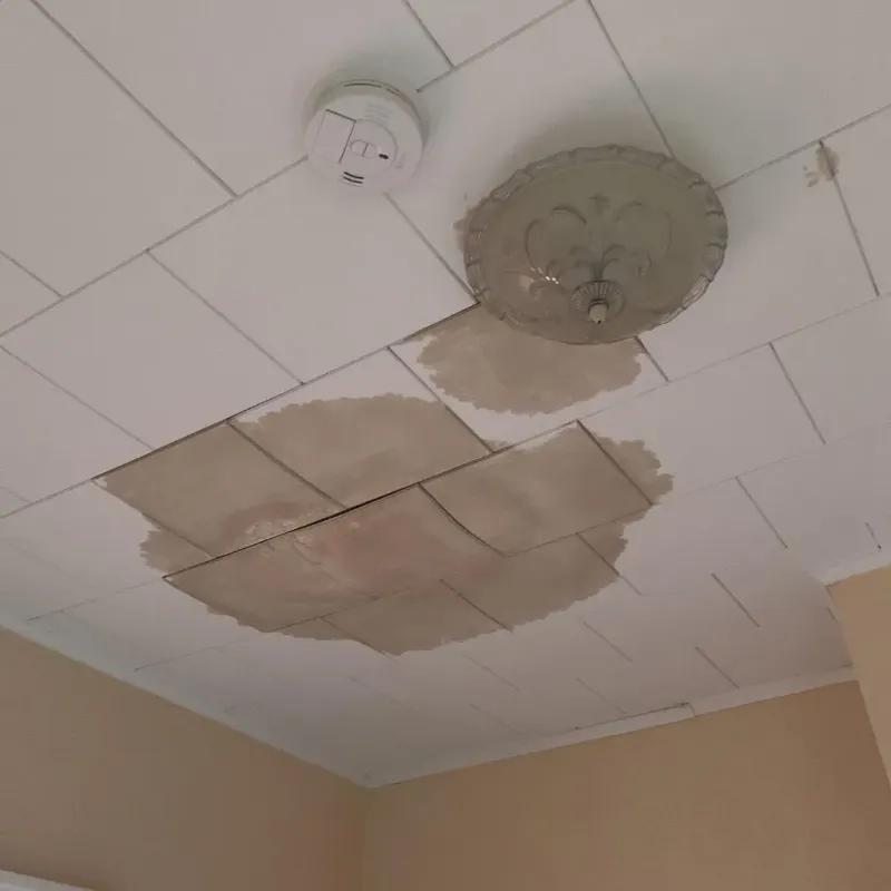 Ceiling Water Damage Repair in Seven Lakes, NC